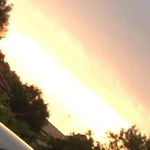 Violet.squires - @photos_with_violet - Instagram