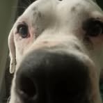 Violet Stephenson - Facebook