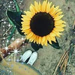 @suarezmay. - @violetsuarez - Instagram