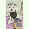 Violet Sun - @violetsun - TikTok