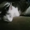 violet_sun:DD - @violet_sun66 - TikTok