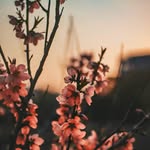Violet Swanson - @violetswanson422 - Instagram