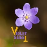 فايوليت سويت 😍👌🏻 - @violetsweet_ - Instagram