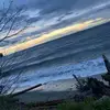 violet sweet 🍃🐬 - @violet.sweet7 - TikTok