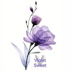 Violet Sweet | فايلوت سويت - @vi.ol.et123 - Instagram