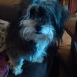 Sylvia Violet Duff - @duffsylviaviolet - Instagram