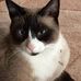 Kristen Violet Talbot - Facebook