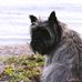 Violet Talbot Photography - Facebook
