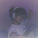 Violet Dahlia - Facebook