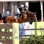 Violet Tanner - @violet_tatum_eq - Instagram