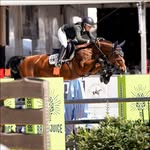 Violet Tatum - @violettatum_eq - Instagram