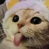 Violet Temple - @violet.temple5 - TikTok