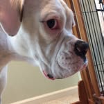 Violet Thompson - @violetthompson59 - Instagram