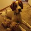 Violet Tibbs - @violettibbs_7383 - TikTok
