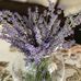 Violeta Terna - Facebook