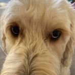 Violet Timmons - Facebook
