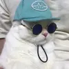 violetitus - @violetitus - TikTok