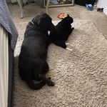 Violette Micki Tompkins - @violettetompkins - Instagram