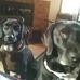Violette Tompkins - Facebook