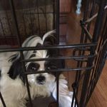 Violet Torossian - @bamba2005 - Instagram