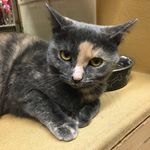 Violet - @violet_to_the_rescue - Instagram