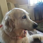 Violet Triplett - @violet.triplett - Instagram