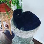 violet vaughn - @violetvaughn11 - Instagram