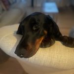 Georgina Pryor - @mom.of_violet.vincent.p - Instagram