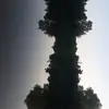 Violeta Vogel - @violeta.vogel7 - TikTok