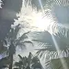 Violetta - @violetta.vogel - TikTok