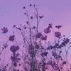 Violet Voss - @violet_v010101 - TikTok