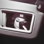 Violet Walls - @random_page.1977 - Instagram