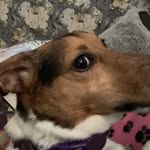 Violet Ward - @violet_wrd11 - Instagram