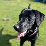 Violet Ward - @violet_woofwoof - Instagram