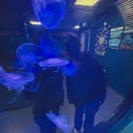 violet - @violettware - Instagram