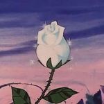 Violet Waters - @chill.virgo - Instagram