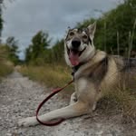 Violet Way - @way_violet - Instagram