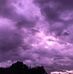 Violet Way - Facebook