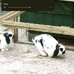 violet - @violet_weaver33 - Instagram