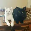 violetweaver73 - @violetweaver73 - TikTok