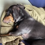 violet webber - @vltwbbr - Instagram
