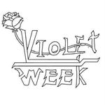 @violetweeksband - Instagram