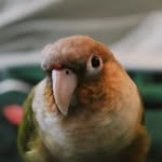 Vivianne Violet Weir - @vivianneweird - Instagram