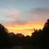 v i o l e t - @violetwillbeventing - TikTok