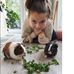 Violet Willoughby - Facebook