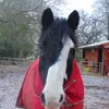 violethaworth - @violet_photography - TikTok