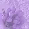 Violet - @violetwright3 - TikTok