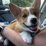 Violet Bushkar Yost - @notorious.big.ears - Instagram
