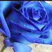 Maria Violeta Ramos Aparicio - Facebook