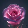 violeta aparicio - @user7442120351570 - TikTok